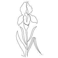 iris border 001